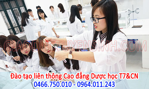 lien-thong-cao-dang-duoc-ha-noi-hoc-t7-cn
