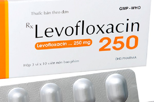 Chuyên gia Dược hướng dẫn sử dụng thuốc Levofloxacin