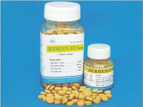 Berberine có những dạng và hàm lượng nào?