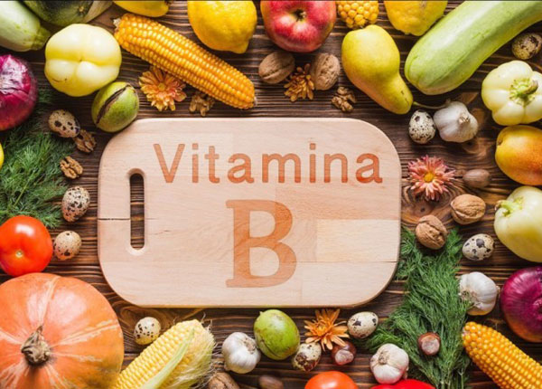 Vitamin chủ yếu là B1, B2, B3, B5, B6, B7, B9 và B12