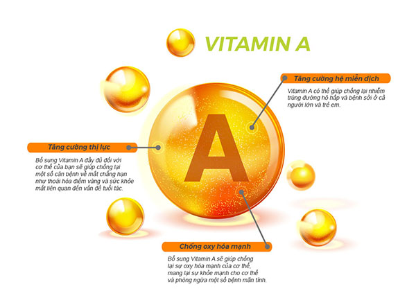 Vitamin A tạo ra những sắc tố trong võng mạc của mắt
