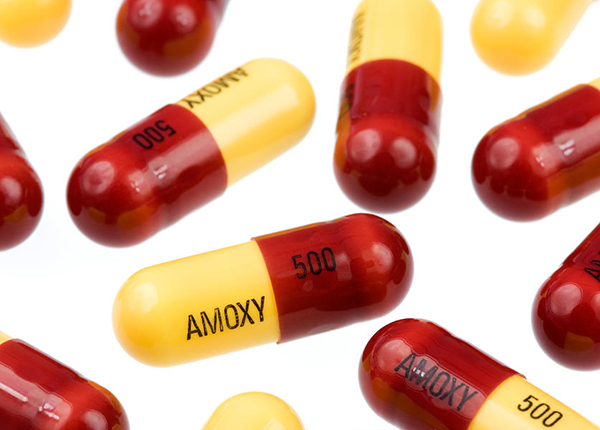 Amoxicillin là loại thuốc khá phổ biến ngày nay