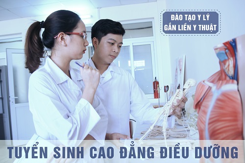 Tốt nghiệp Cao đẳng Điều Dưỡng ra trường làm gì?