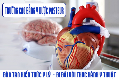 Cơ hội việc làm sau khi tốt nghiệp trường Cao đẳng Y Dược Pasteur