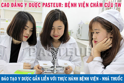 Theo học Trường Cao đẳng Y Dược Pasteur để giải quyết vấn đề việc làm