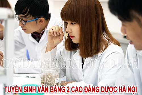 Học Văn bằng 2 Cao đẳng Dược là quyết định đúng đắn của sinh viên