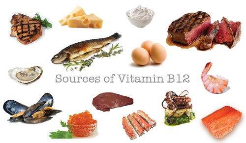 Những thực phẩm giàu vitamin B12