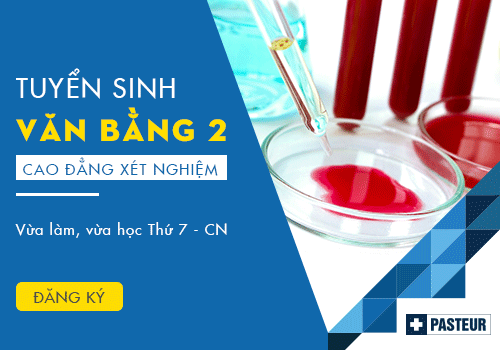 ọc Văn bằng 2 Cao đẳng Xét nghiệm tại Trường Cao đẳng Y Dược Pasteur 