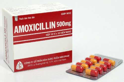 Thuốc Amoxicillin là thuốc gì?