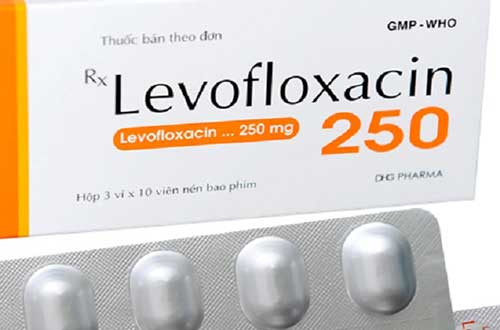 Liều lượng sử dụng thuốc Levofloxacin