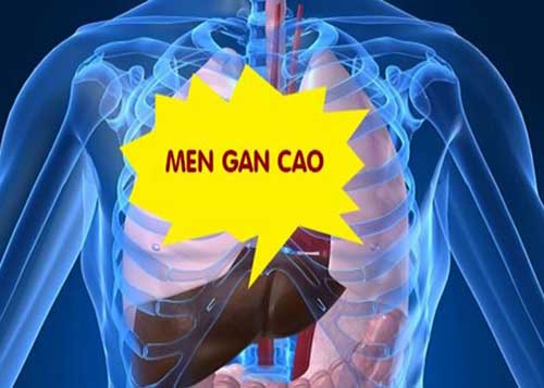 Mách bạn cách giảm men gan cao không cần dùng thuốc