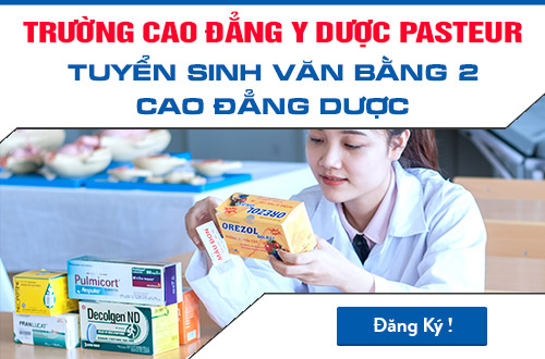 van-bang-2-cao-dang-duoc