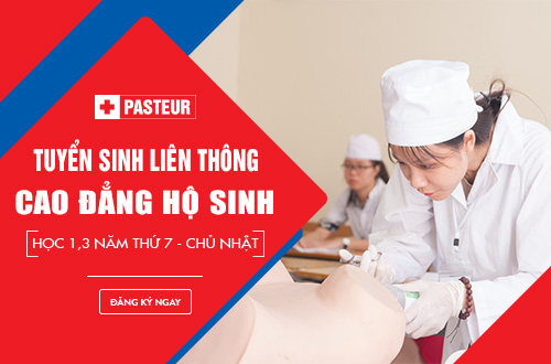 Liên thông Cao đẳng Hộ sinh học thứ 7 chủ nhật