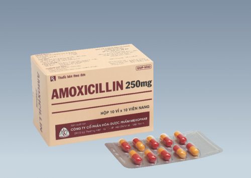 Thông tin về thành phần và tác dụng của thuốc Amoxicillin