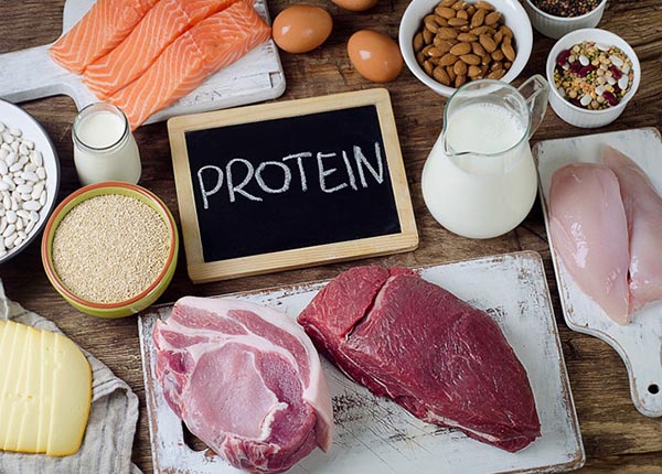 Protein có vai trò vô cùng quan trọng trong việc duy trì các hoạt động sống của cơ thể