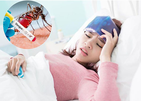 Sốt xuất huyết là bệnh truyền nhiễm do virus Dengue gây ra